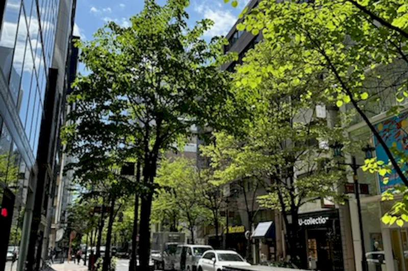 【銀座一丁目駅1分／銀座駅6分／有楽町駅5分】銀座並木通りの路面に新しく誕生した、白を基調とした洗練のプライベート空間｜大切なブランドの魅力を静かに引き立てます