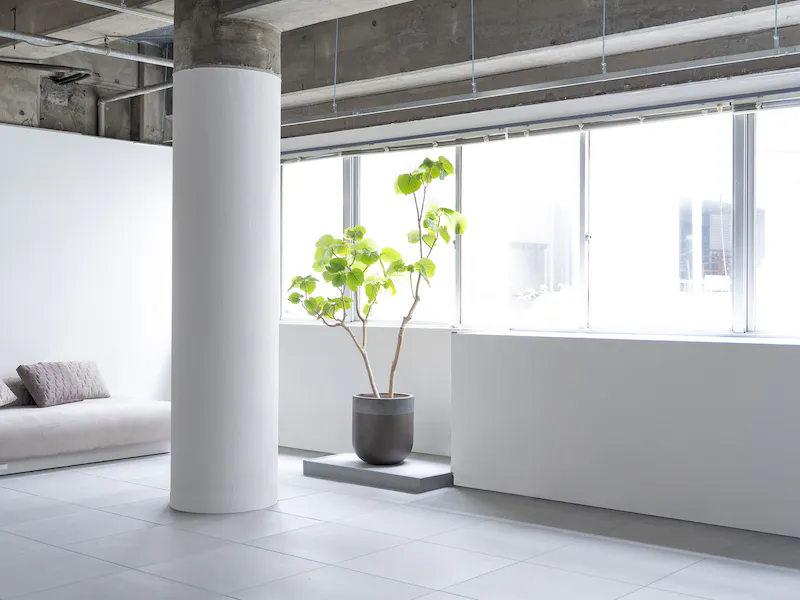 ソファや観葉植物などもあります。
