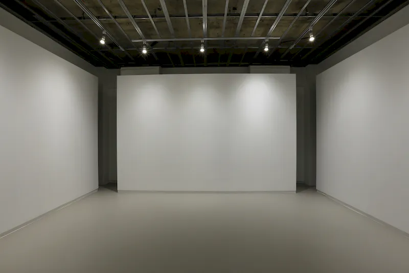 白度の高い照明によって平面作品がより美しく映えます