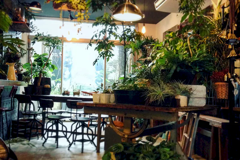 植物溢れるスペースになっております。