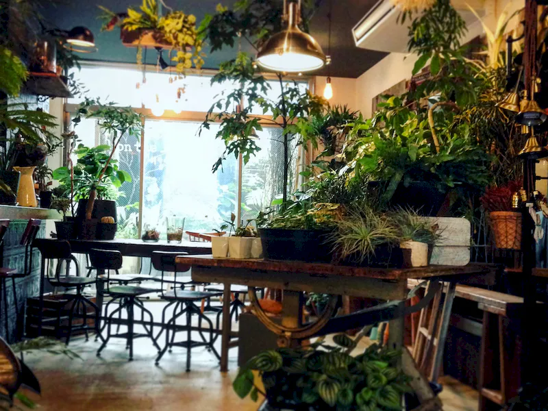 植物溢れるスペースになっております。
