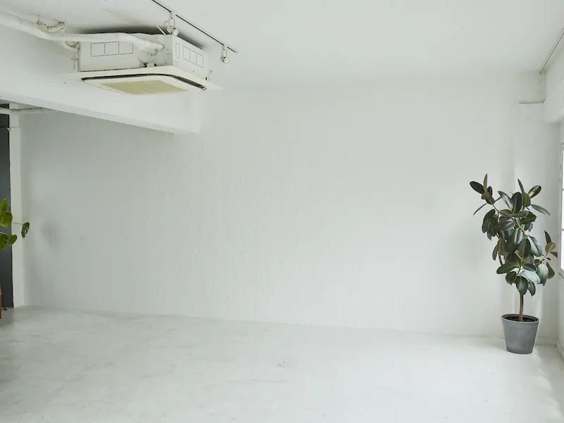 広い白塗壁。