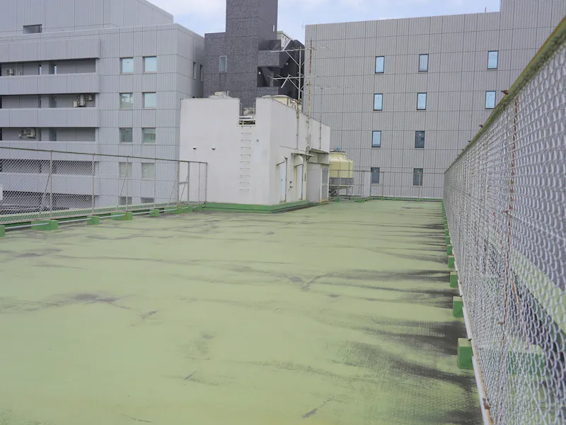 屋上後方から