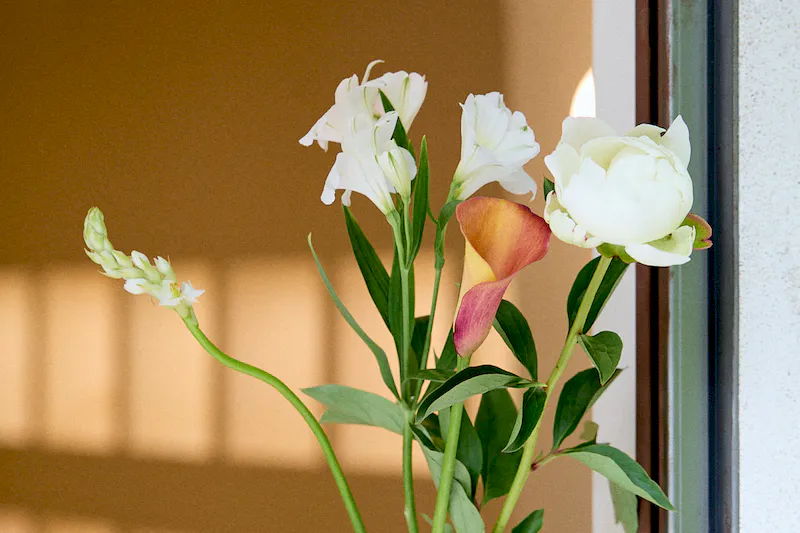 【乃木坂駅3分】展示会やポップアップストアに最適！六本木エリアに静かに佇む隠れ家的レンタルスペース「102Gallery」