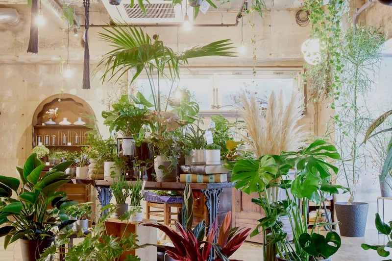 【蔵前駅1分】ポップアップストアや各種プロモーションイベントに最適な観葉植物店＆カフェを舞台にしたイベントスペース