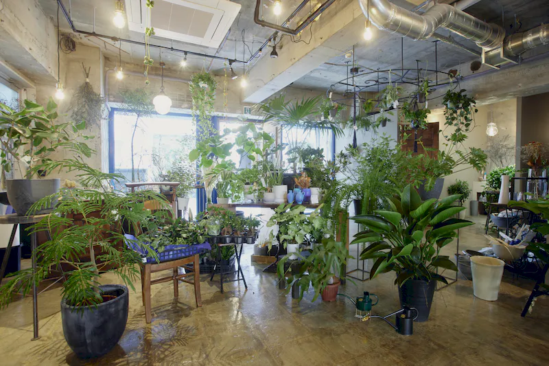 【蔵前駅1分】ポップアップストアや各種プロモーションイベントに最適な観葉植物店＆カフェを舞台にしたイベントスペース