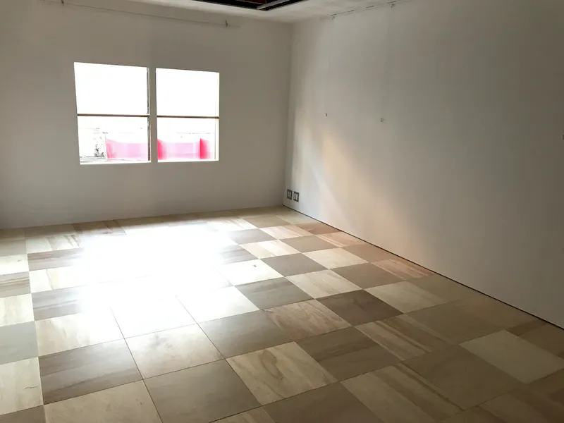 全体内観