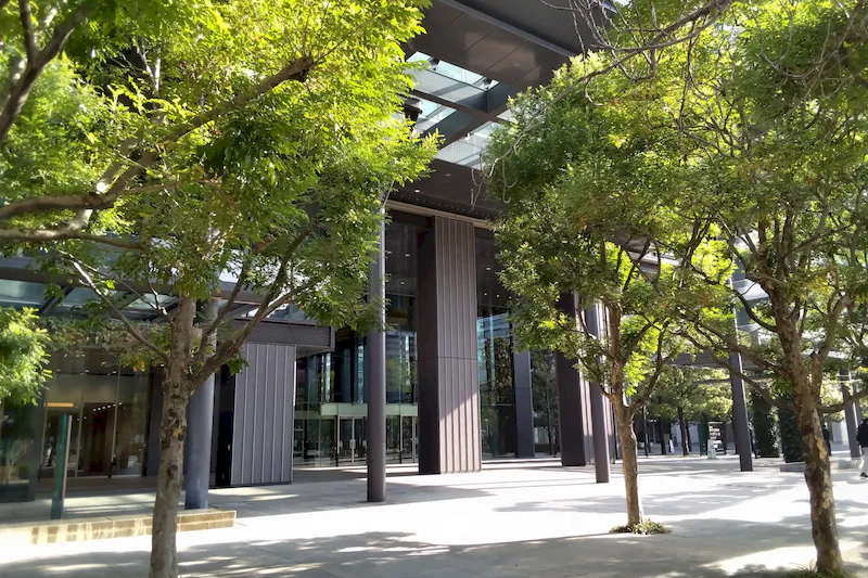 【豊洲駅2分｜毎月第2水曜】食・雑貨物販に適したマルシェスペース『豊洲フォレシアマルシェ』