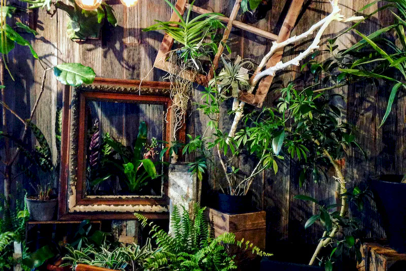 植物とアンティークの什器類を使った季節ごとのディスプレイになっております。