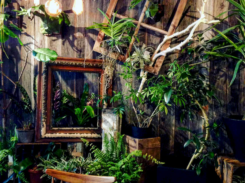 植物とアンティークの什器類を使った季節ごとのディスプレイになっております。