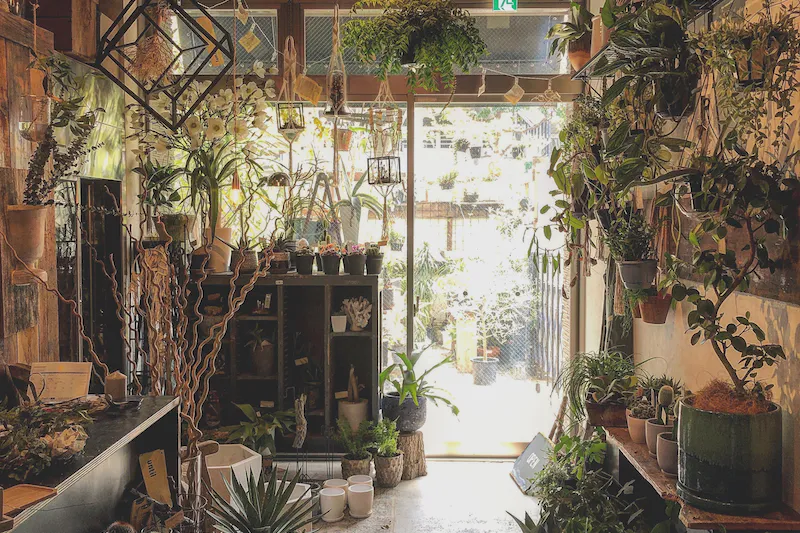 植物は自由に撮影可能です。